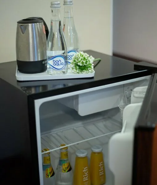 Номер «Стандартный двухместный номер с 1 кроватью» в Adagio Renaissance